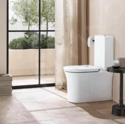 Duravit White Tulip - Duoblok Toilet, Vario Afvoer, Rimless, HygieneGlaze, Wit 2197092000 11 Duravit White Tulip - Duoblok Toilet, Vario Afvoer, Rimless, HygieneGlaze, Wit 2197092000 -Badkamerartikelen Winkel 11c50fd311697bb996da586f