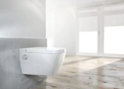 Ideal Standard ProSys - Toiletset- Inbouwreservoir, Douche-WC, WC-zitting TECEone, Oleas M2 Bedieningsplaat, Rimless, SoftClose, Wit ProSys80M SP127 -Badkamerartikelen Winkel 326f46c22f84fddf09fe03d9