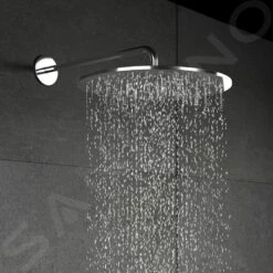 Steinberg 100 - Hoofddouche, Diameter 400 Mm, Chroom 100 1689 -Badkamerartikelen Winkel 4520cadef056b7f36d721d4d