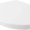 Villeroy & Boch Architectura - WC-zitting, SoftClose, QuickRelease, Alpine Wit 9M83S101 -Badkamerartikelen Winkel 7a8883e10812fe81919f3269