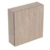Geberit ICon - Kast 45x47x15 Cm, 1 Deur, L/R Scharnieren, Eiken 502.319.JH.1 -Badkamerartikelen Winkel e37401405bb860ee47baff74